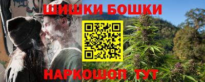 соль ск Можга