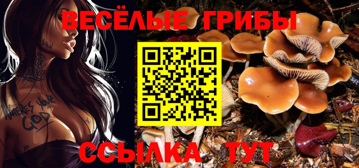 Галлюциногенные грибы прущие грибы Анжеро-Судженск