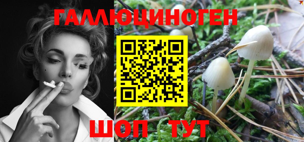 Псилоцибиновые грибы Psilocybine cubensis  Вход с VPN  Псилоцибиновые грибы ЛСД  Анжеро-Судженск 