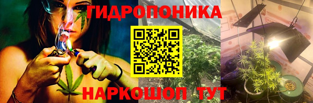 Марихуана семена  Вход с VPN  МАРИХУАНА индика  Анжеро-Судженск  МАРИХУАНА сатива 